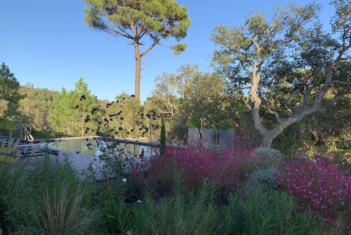 Villa Saint Cyprien Porto-Vecchio en location
