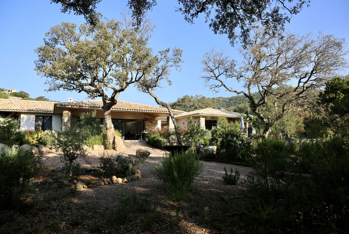 Grand jardin privé Villa Saint Cyprien Porto-Vecchio en location